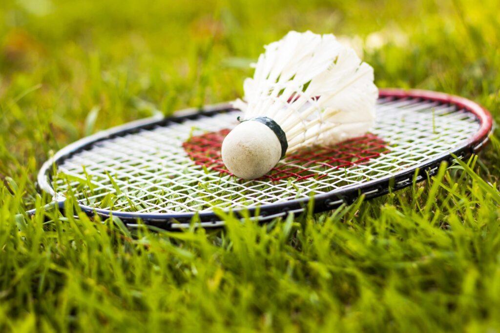 Bbq Party Game Ideas For Adults: Badminton