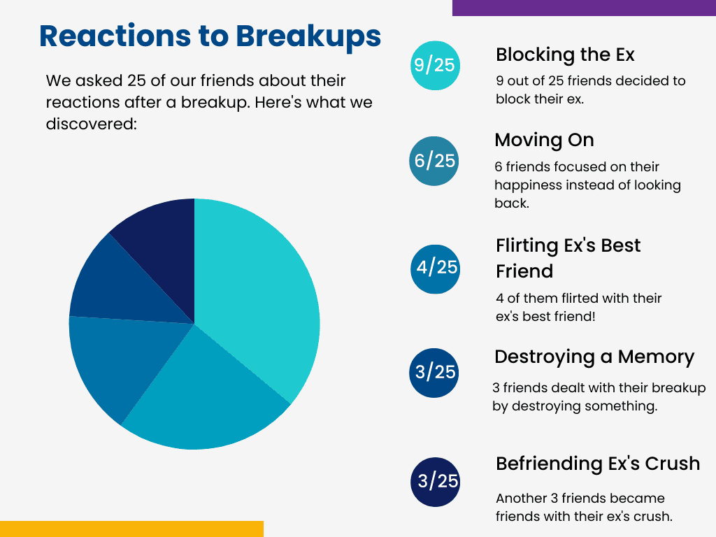 Understanding Breakups Insights from a Friendly Survey
