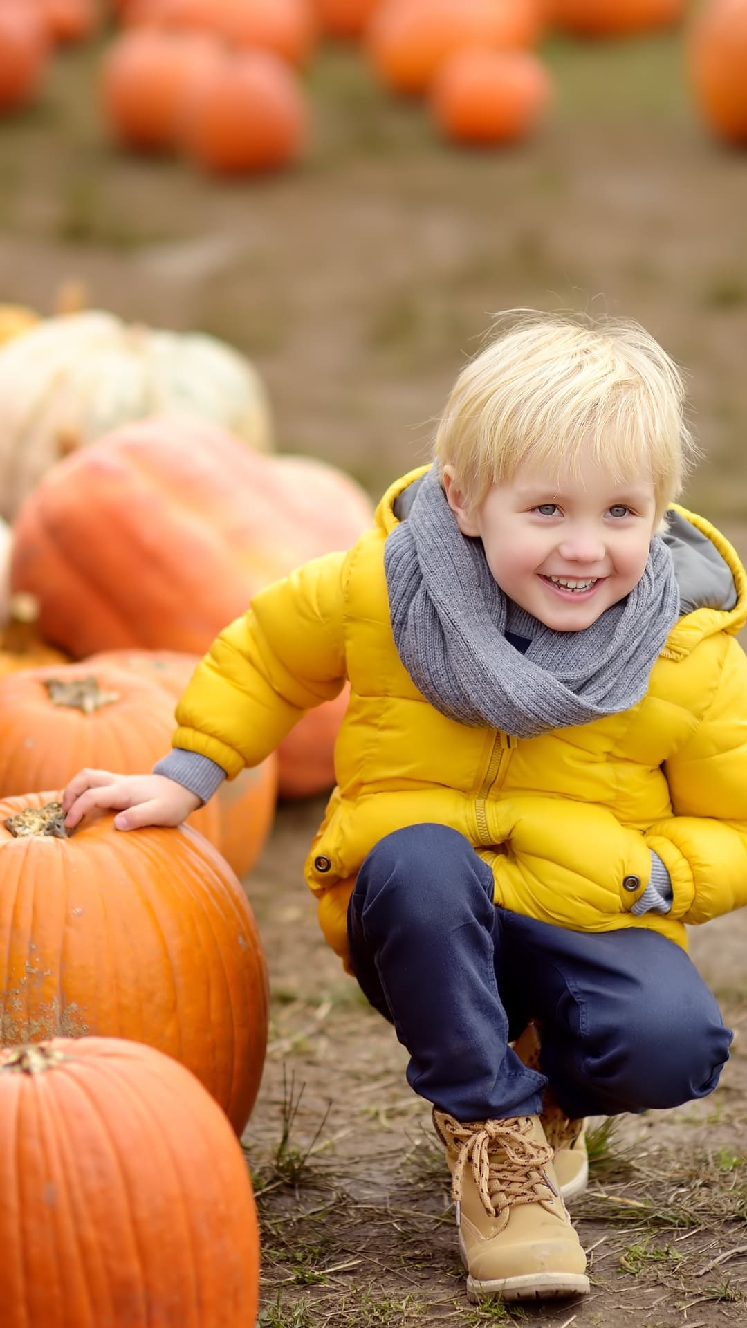 Pumpkin Rolling Races
