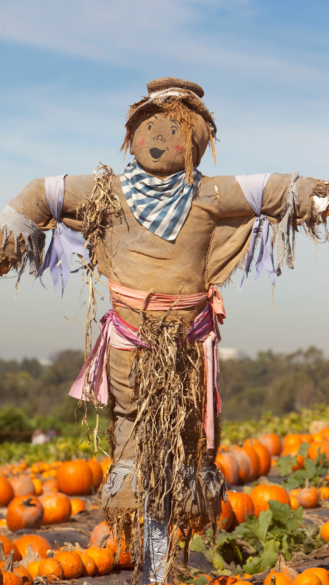 Scarecrow Tag