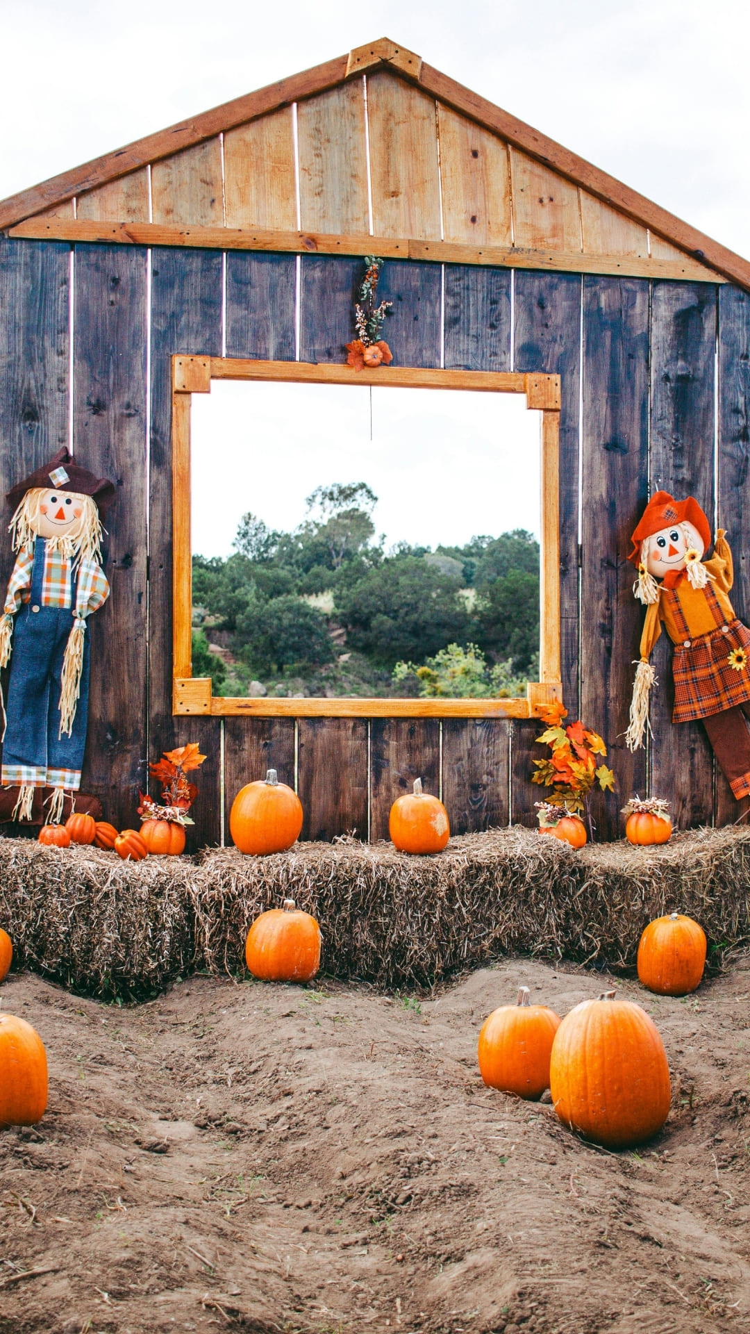 Candy Themed and Pumpkin Fun Notes